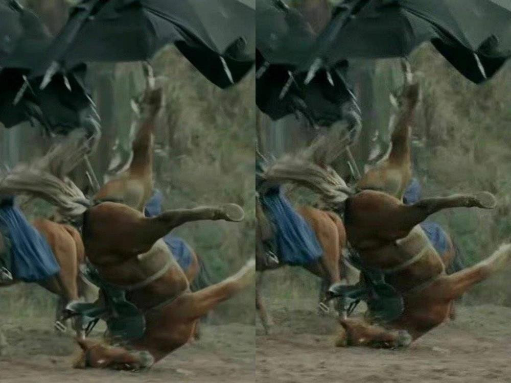 Phim cua Trieu Lo Tu dinh nghi van nguoc dai dong vat-Hinh-5