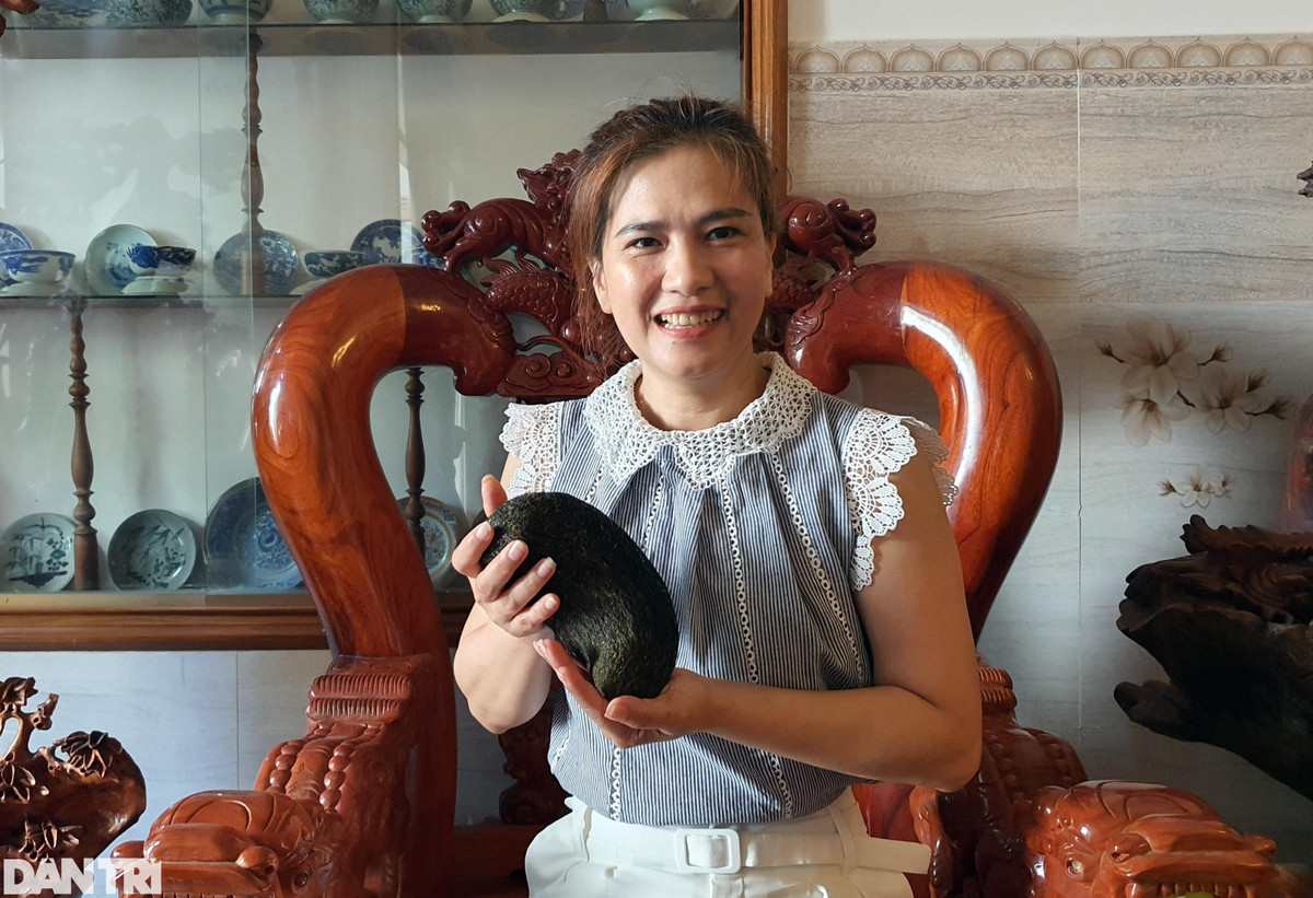 Vật giống cát lợn nặng hơn 1kg được trả giá 500 triệu đồng ảnh 1 Vật giống cát lợn nặng hơn 1kg được trả giá 500 triệu đồng ảnh 1