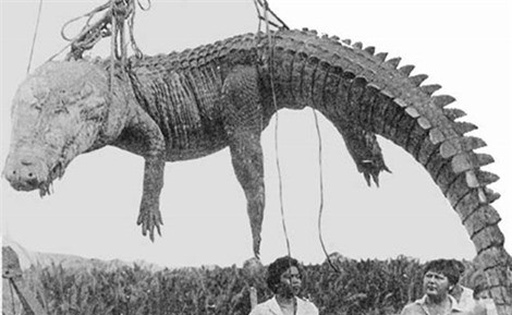 "Hòn đảo cá sấu" Ramee - nơi thách thức những kẻ gan dạ ảnh 2