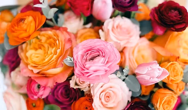 Dau thang 6 Am, 3 con giap tren co Quan Am, duoi co Than Tai nang do-Hinh-3