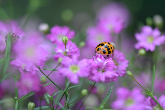 Người sinh tháng Âm lịch này sống siêng năng, nhận nhiều phúc - Hình 4 Nguoi sinh thang Am lich nay song sieng nang, nhan nhieu phuc-Hinh-4