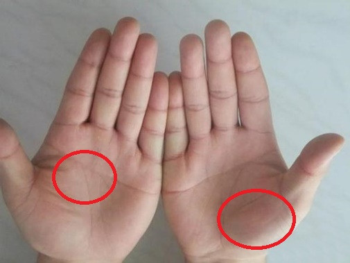 Người da trắng cũng có thể dựa vào quý nhân để hóa giải vận rủi, người có đường chỉ tay rõ ràng thì có tính kiên nhẫn và dũng khí, sống lâu khỏe mạnh, có thể làm lại từ đầu, càng ngày càng giàu có. - Thông tin mang tính chất giải trí, chiêm nghiệm.