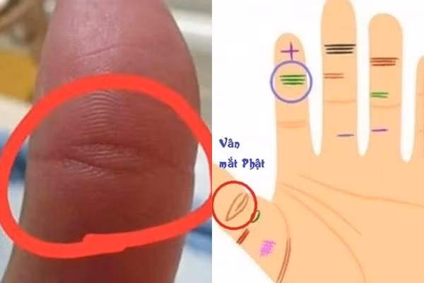 Những người có mẫu mắt Phật thường có thể dựa vào trực giác nhạy bén này để tìm kiếm vận may và tránh điều ác, giống như một vị thần và vị Phật. Không chỉ có một khả năng nhận thức mạnh mẽ, mà còn có một trí nhớ tuyệt vời.