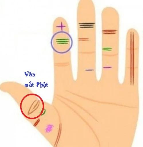  Một người đàn ông có đường vân này có khả năng kết hôn với con gái đại gia, trong khi bạn nữ có đường vân này sẽ có cuộc sống hạnh phúc, ngọt ngào sau khi kết hôn và hiếm khi phải vất vả.