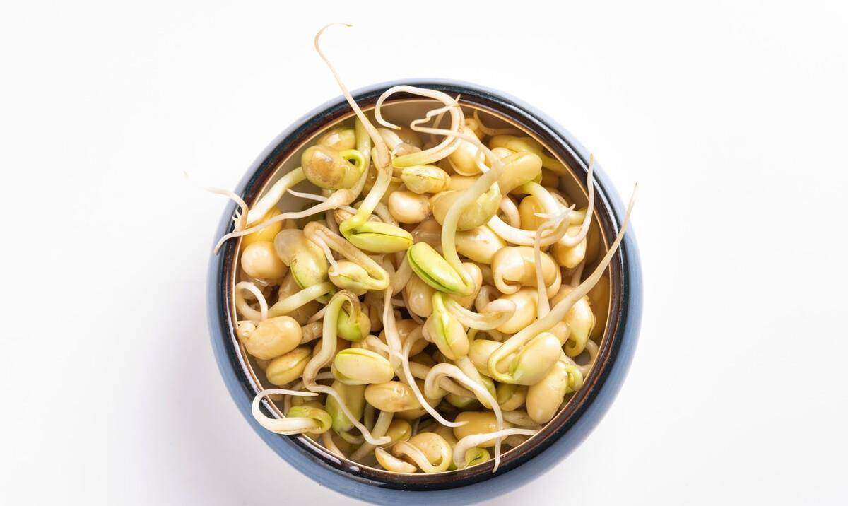 4 loai cu cuc bo duong khi moc mam, vut di chi co tiec hui hui-Hinh-4