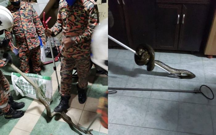 Mai choi dien thoai trong toilet, nguoi dan ong gap su co 'chet khiep'