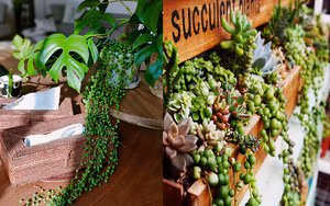 Thang 4 may man, nguoi sinh thang Am nay lien tiep don mua vang gio bac-Hinh-4