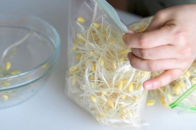 Giá đỗ để lâu hay bị thâm đen, đây là tuyệt chiêu bảo quản - Hình 3 Gia do de lau hay bi tham den, day la tuyet chieu bao quan-Hinh-3