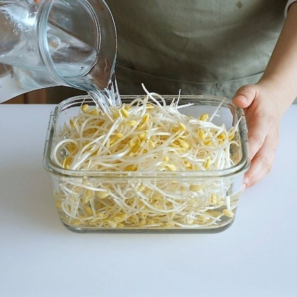 Giá đỗ để lâu hay bị thâm đen, đây là tuyệt chiêu bảo quản - Hình 4 Gia do de lau hay bi tham den, day la tuyet chieu bao quan-Hinh-4