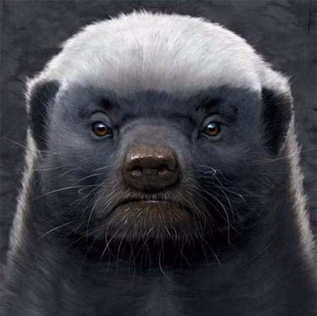 Tại sao con người không tiến hóa để có thể sở hữu nọc độc? ảnh 3