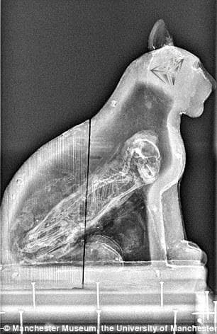 Xac uop mat cho duoc tim thay o Ai Cap-Hinh-3