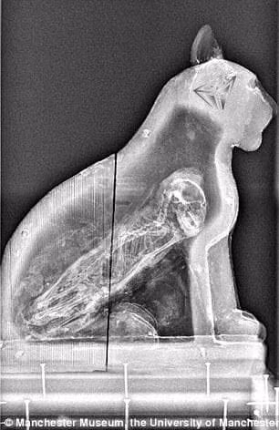 Xac uop mat cho duoc tim thay o Ai Cap-Hinh-3