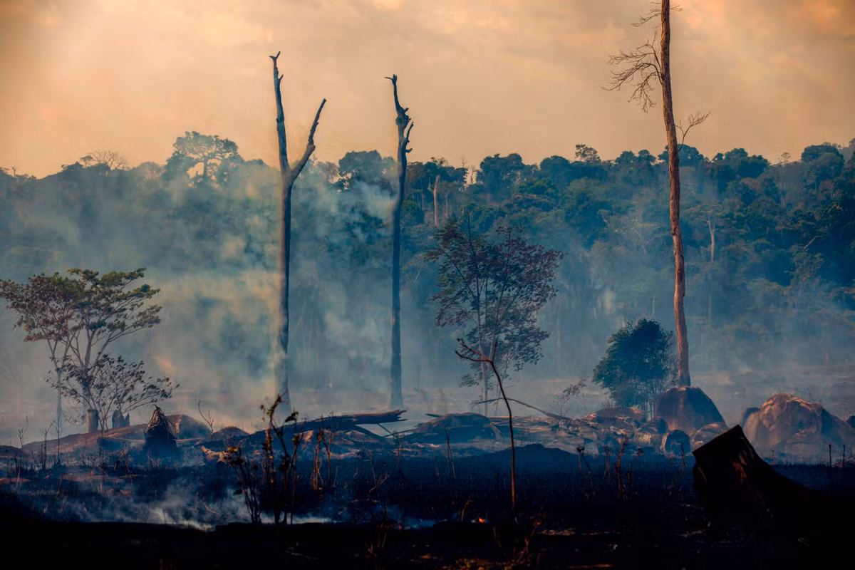 Nhung can benh den cung bien doi khi hau