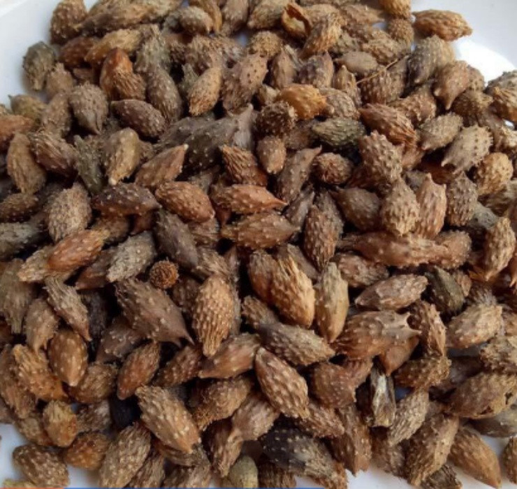 Ở quốc gia đông dân như Trung Quốc, quả ké đầu ngựa đang được “săn lùng” với mức giá không hề rẻ.