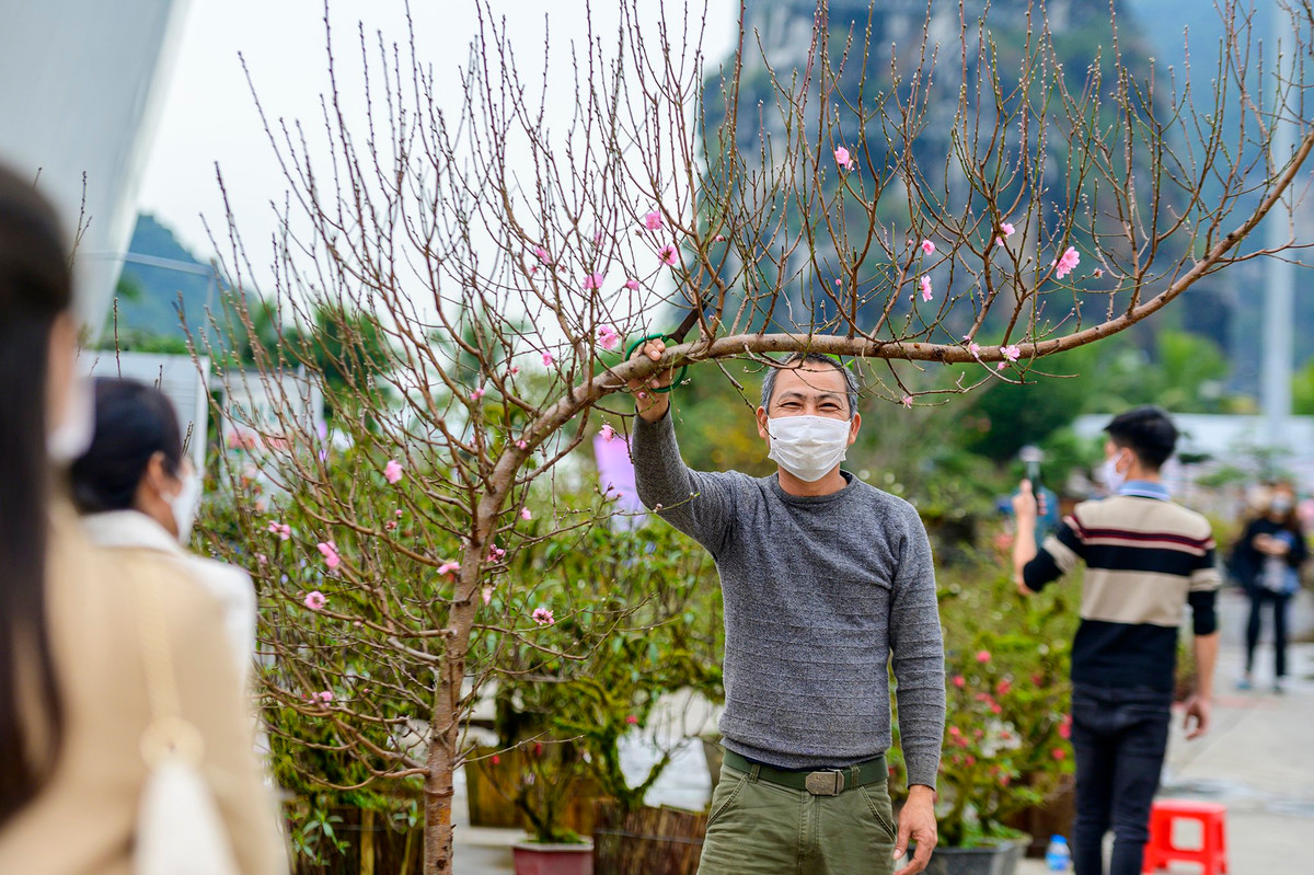 Ông Quân, trú Hải Dương, cho biết thấy chính sách của Quảng Ninh không yêu cầu người từ vùng 3 vào phải cách ly nên ông đưa đào về khu vực TP Hạ Long để bán. Theo ông Quân đào năm nay vẫn đa dạng, người dân chuộng chơi đào huyền nên ông nhập hơn 100 cành về đây để bán. "Cành này là đào phai cánh kép có giá hơn 3 triệu, chỗ của tôi bán giá thấp nhất là 1 triệu đồng một cành. Ngày túc tắc cũng bán được 4-5 cành", ông Quân nói.