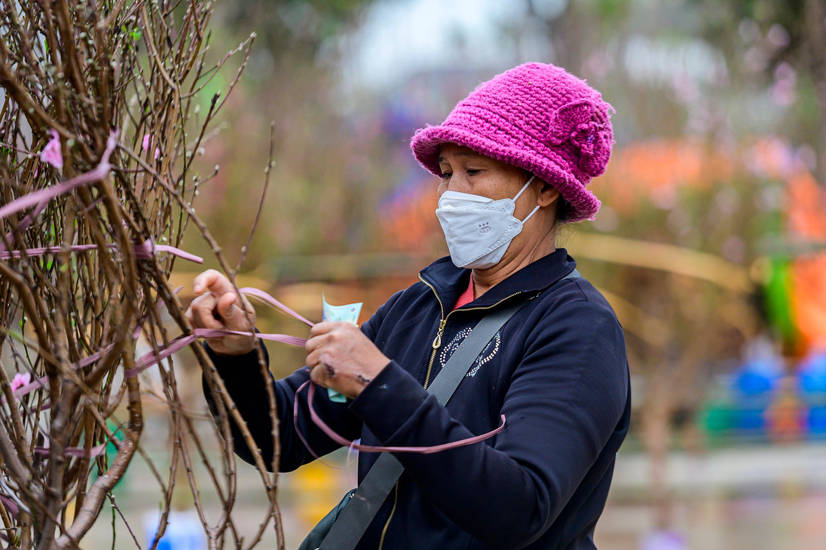 Bà Phương, trú Bắc Giang vừa bán cành đào cho người mua với giá 600.000 đồng. "Năm nào tôi cũng buôn đào từ Bắc Giang về đây bán. Năm nay thấy tỉnh Quảng Ninh mở cửa, tôi cùng chồng và các con đưa đào Tết về đây bán", bà Phương cho biết thêm đào năm nay đa dạng, nhiều chủng loại nên người dân những ngày đầu thường đi xem tham khảo giá trước.