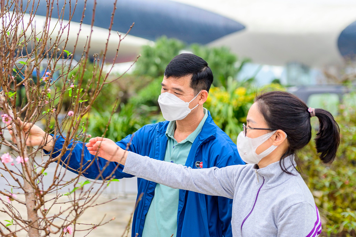 Vợ chồng anh Chiến (trú TP Hạ Long) đang lựa chọn kỹ càng một cành đào để về cắm. "Năm nay dù dịch bệnh và nhiều khó khăn, chúng tôi vẫn cố gắng sắm sửa một chút. Những cành đào có giá 1-2 triệu đồng là hợp lý, vừa với túi tiền người mua", anh Chiến chia sẻ.