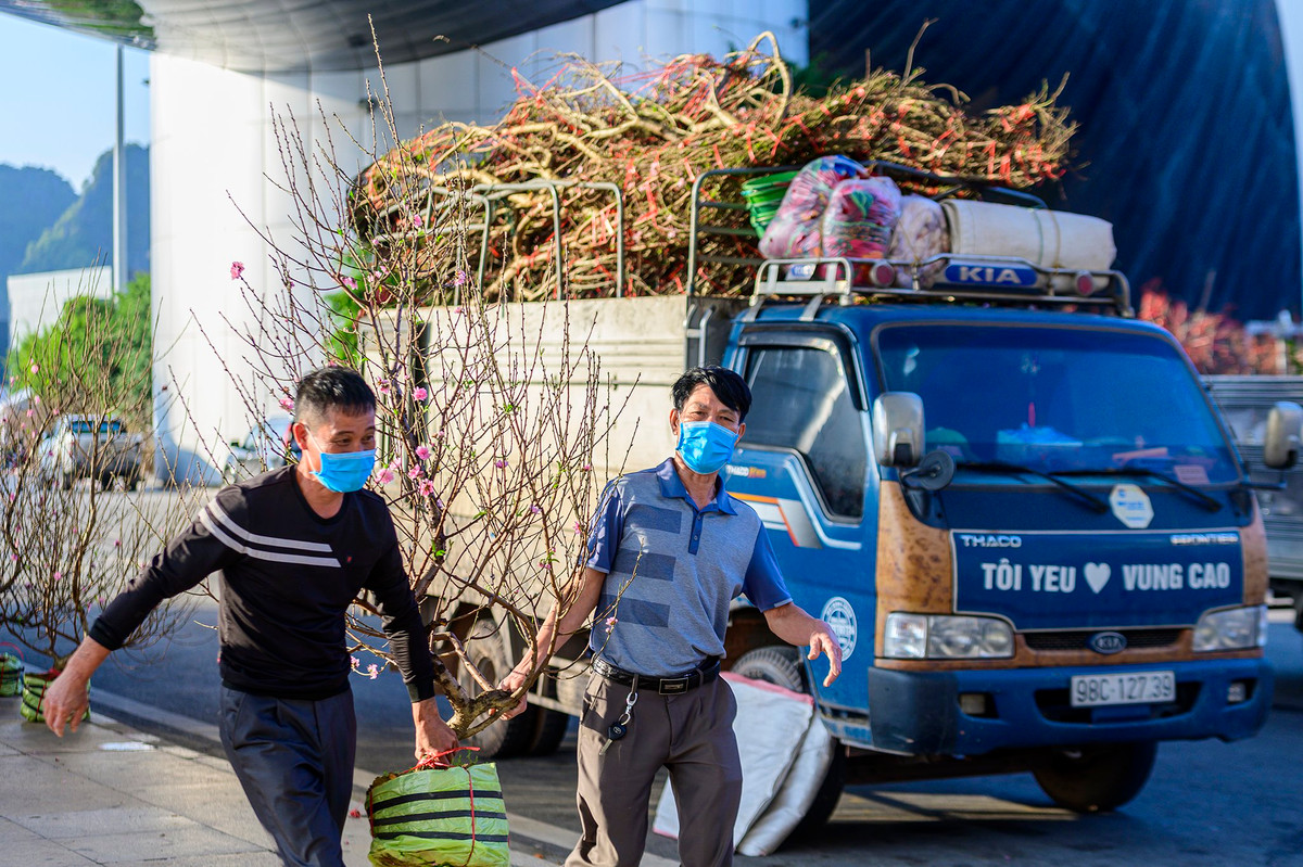 Đại diện thành phố Hạ Long cho biết, trước đó thành phố dự kiến không tổ chức chợ hoa. Khi tỉnh Quảng Ninh có văn bản điều chỉnh phòng chống dịch, thành phố đã giao việc tổ chức chợ hoa cho các phường. Năm nay là năm đầu tiên các phường tổ chức chợ hoa, mỗi phường có khoảng 100 gian hàng giúp bà con tiêu thụ sản phẩm và người dân mua sắm tết thuận tiện hơn.