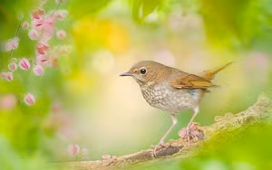 Gia dinh co con giap nay, phuc khi tu tren troi roi xuong-Hinh-5