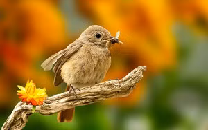 Gia dinh co con giap nay, phuc khi tu tren troi roi xuong-Hinh-7