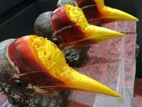 Hop so cua loai vat nay dang gia hon vang-Hinh-2