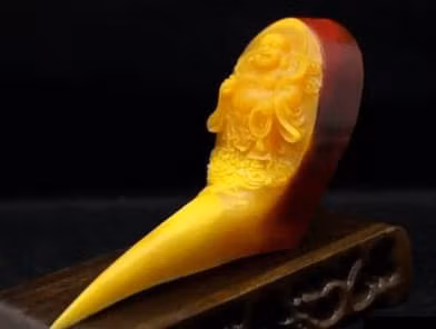 Hop so cua loai vat nay dang gia hon vang-Hinh-4