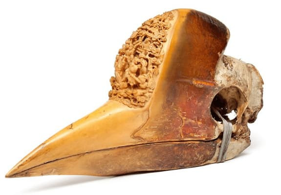 Hop so cua loai vat nay dang gia hon vang-Hinh-6