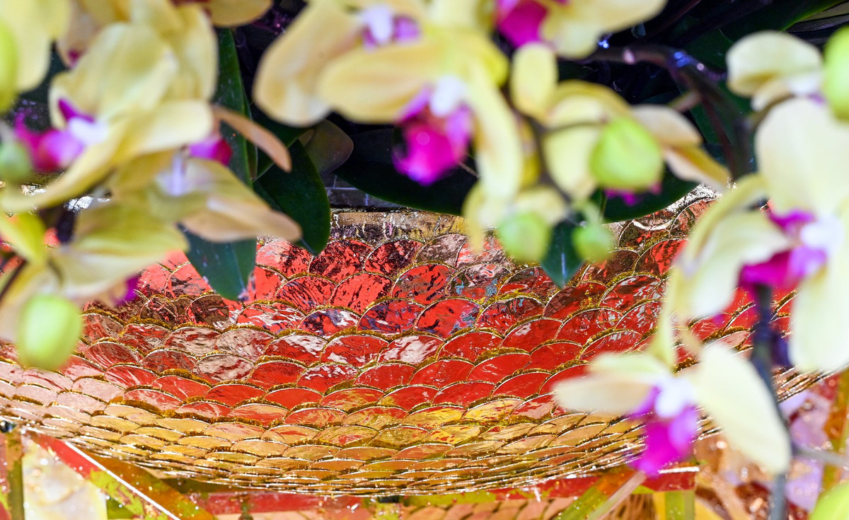 Hai người thợ phải làm việc liên tục trong 5 giờ đồng hồ mới hoàn thành việc mạ vàng cho chậu cây bởi đường kính lớn. Theo anh Nghiệp, giá của chậu cây được giữ nguyên để đảm bảo được con số phong thuỷ như 86 (phát lộc), 68 (lộc phát).