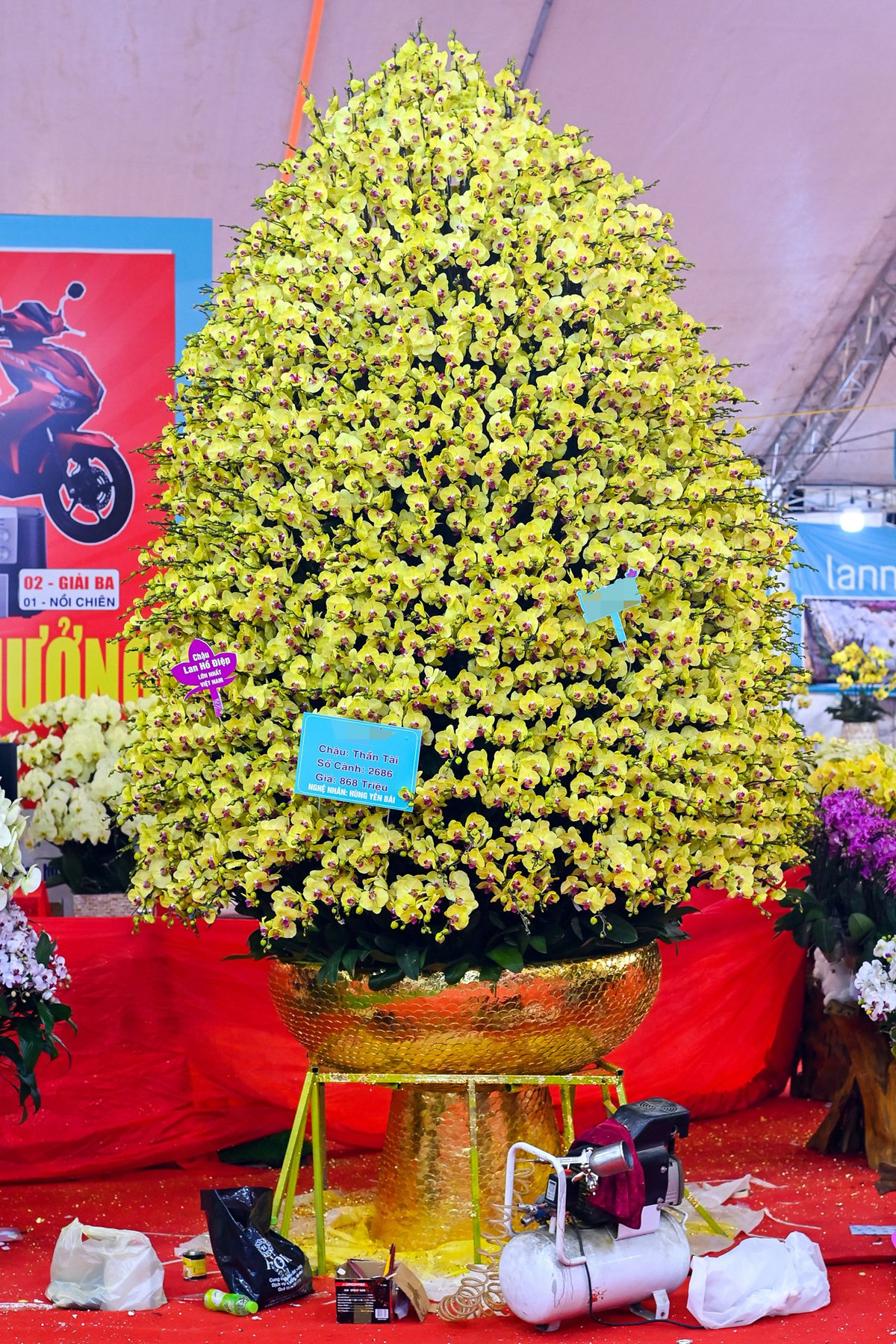 Theo anh Ngô Hoàng Nghiệp, người kinh doanh chậu lan này, tác phẩm được ghép từ 2.686 cành hoa lan hồ điệp xuất xứ từ Đà Lạt, được một nghệ nhân cắm hoa cùng 5 người thợ liên tục cắm, tỉa, xếp cành trong 4 ngày đêm mới hoàn thành.