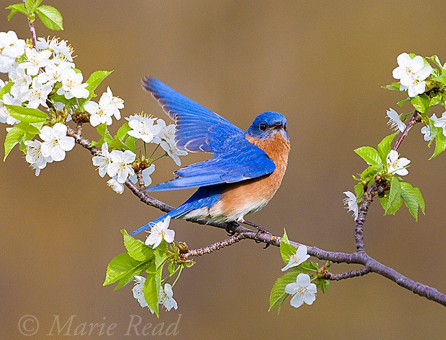 Ai sinh tháng Âm lịch này vận may không bao giờ cạn - Hình 3 Ai sinh thang Am lich nay van may khong bao gio can-Hinh-3
