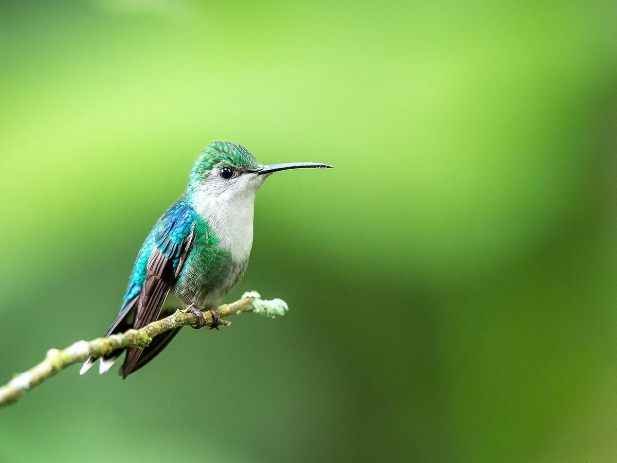 Ai sinh thang Am lich nay tai khong doi tuoi, tien bac sung tuc-Hinh-4