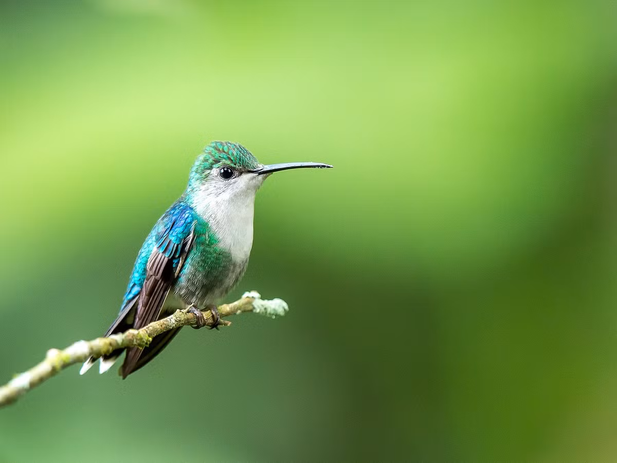 Ai sinh tháng Âm lịch này tài không đợi tuổi, tiền bạc sung túc - Hình 4 Ai sinh thang Am lich nay tai khong doi tuoi, tien bac sung tuc-Hinh-4