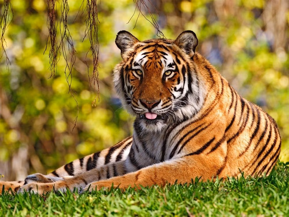 Cho den 13h hom nay 11/10 de diem danh 4 'co may in tien'-Hinh-3