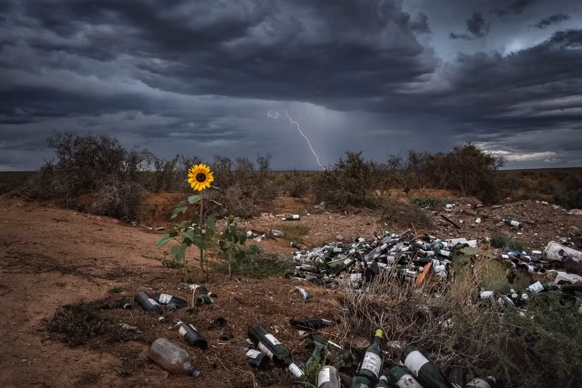 Giai thuong nhiep anh Nature TTL Natute 2022-Hinh-6