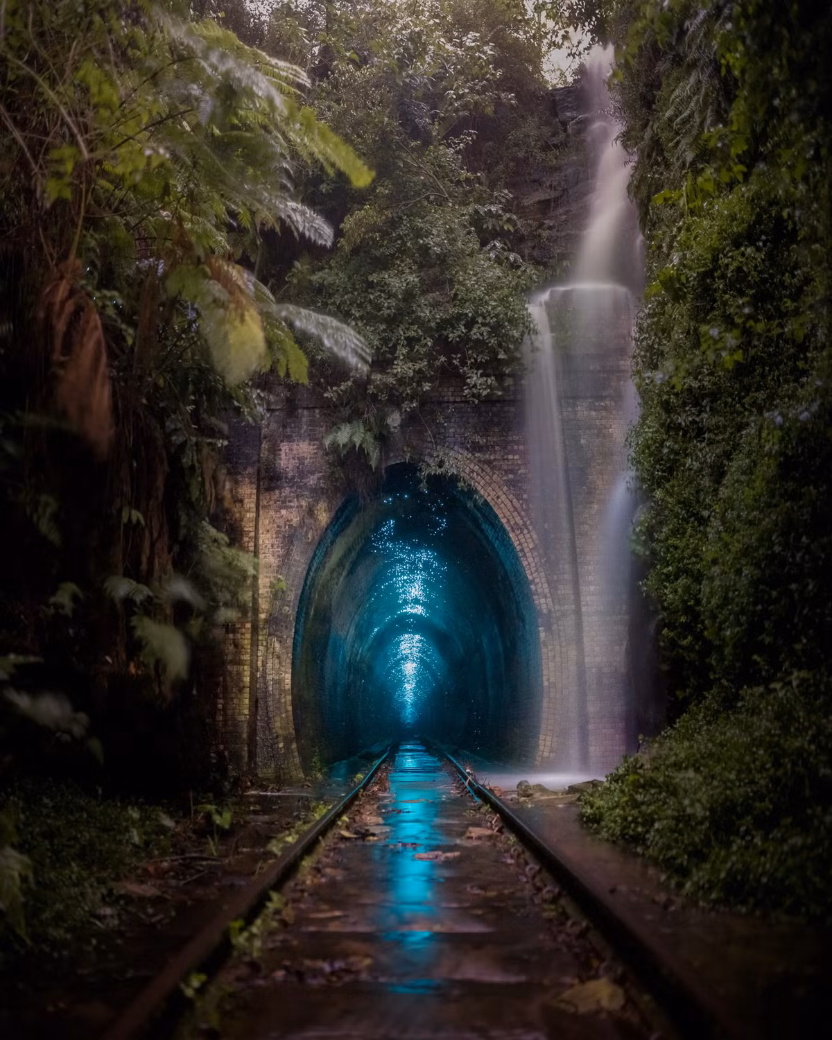 Giai thuong nhiep anh Nature TTL Natute 2022-Hinh-13