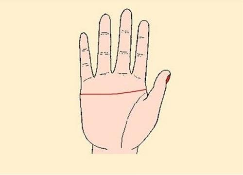 Đường chỉ tay hình chữ Nhất. Bàn tay có hình chữ Nhất khiến người nhìn vào có cảm giác như bàn tay bị chia đôi thành hai nửa rõ nệt. Đường Trí đạo và Tâm đạo nhập làm 1 chạy ngang qua lòng bàn tay. Tướng tay này rất hiếm gặp.