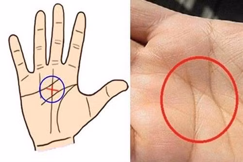 Đường chỉ tay chữ X. Đường chỉ tay hình chữ X được hình thành ở giữa 2 đường chỉ tay, do sự giao thoa các đường chỉ tay nhỏ lẻ khác trên lòng bàn tay. Đây là người bao dung, yêu thương mọi người, tính cách cương trực, ngay thẳng.