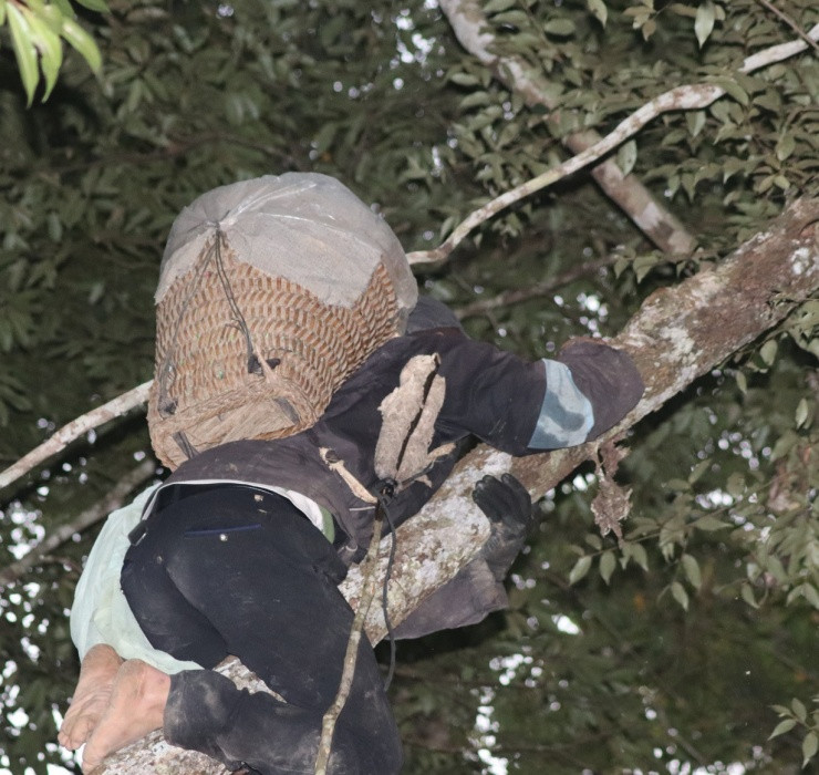 2 “di nhan” Viet hot bac nho nghe la-Hinh-4