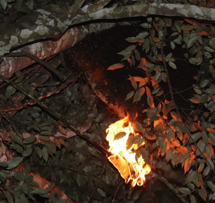 2 “di nhan” Viet hot bac nho nghe la-Hinh-7