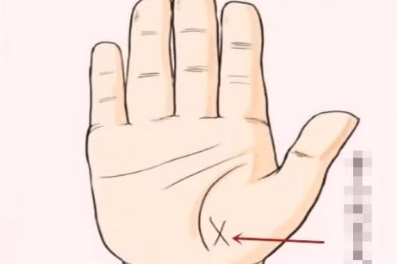  Hoa văn ở đường sinh khí. Hoa văn quý nhân ở gần đường sinh khí. Điểm đặc biệt của hoa văn này là nó liên quan nhiều đến việc tổ tiên của mệnh chủ có âm dương hay không, tức là có bóng tổ tiên che chở hay không, vì sự xuất hiện của loại hoa văn này có nghĩa là trong cung sinh mệnh có rất nhiều sao quý nhân, thậm chí là nhị tinh. 