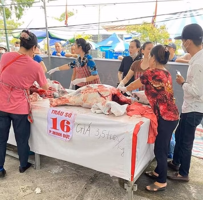 Điều ít biết về loại thịt trâu đắt nhất Việt Nam ảnh 1