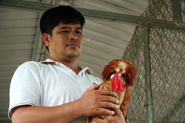 Nuoi Ga su tu Ba Lan, nong dan mien Tay thu chuc trieu moi thang-Hinh-2