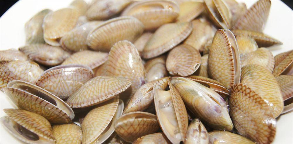 Ngâm ngao với thứ nước này, ngao sạch bong và không có cát Ngam ngao voi thu nuoc nay, ngao sach bong va khong co cat