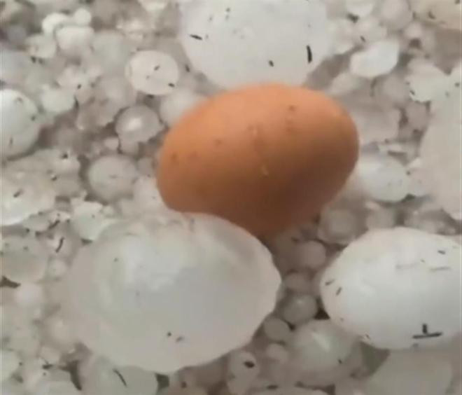 Dân mạng Trung Quốc xôn xao vụ mưa đá to như trứng gà Dan mang Trung Quoc xon xao vu mua da to nhu trung ga