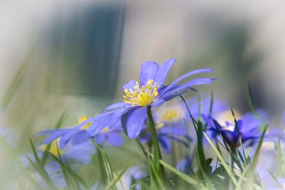 Sinh vao 5 ngay Am lich nay, bien kho khan thanh co hoi-Hinh-3