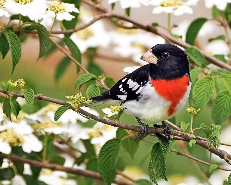 Sinh ngay Am lich nay khong lam mat long ai, hien lanh kiem tien-Hinh-3