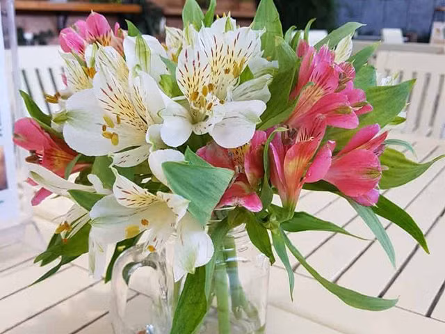 7 loai hoa hut tai loc, nha giau thuong mua ve de bay-Hinh-6