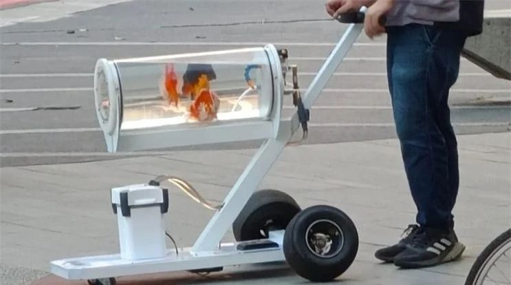 Độc lạ chiếc xe đẩy dành riêng cho cá cảnh 'đi khắp muôn nơi' ảnh 1