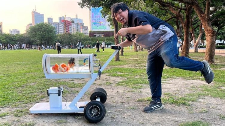 Độc lạ chiếc xe đẩy dành riêng cho cá cảnh 'đi khắp muôn nơi' ảnh 2