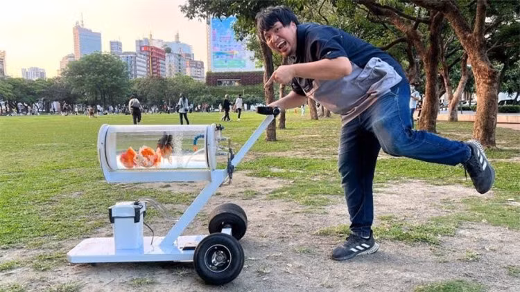 Độc lạ chiếc xe đẩy dành riêng cho cá cảnh 'đi khắp muôn nơi' ảnh 2